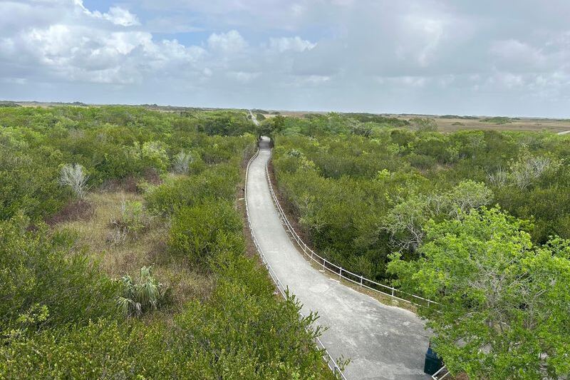 This Florida Bike Trail Rolls 15 Miles Through the Everglades With Alligators Right Beside You