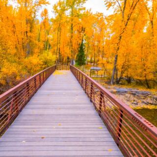 13 Montana Places to See Fall Color Without a Difficult Hike