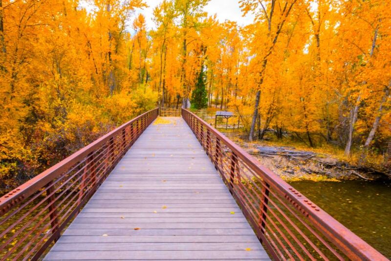 13 Montana Places to See Fall Color Without a Difficult Hike