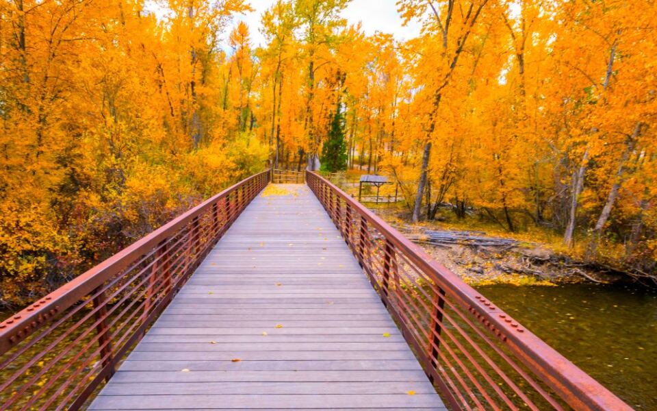 13 Montana Places to See Fall Color Without a Difficult Hike