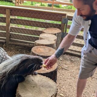 This Massachusetts Rescue Zoo Lets You Feed a Porcupine and Step Inside the Kangaroo Enclosure Close to Home