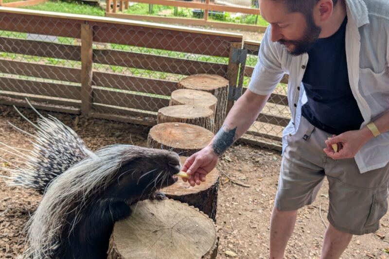 This Massachusetts Rescue Zoo Lets You Feed a Porcupine and Step Inside the Kangaroo Enclosure Close to Home