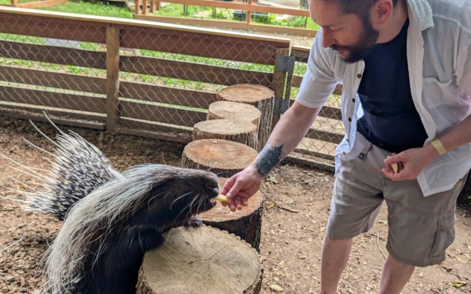 This Massachusetts Rescue Zoo Lets You Feed a Porcupine and Step Inside the Kangaroo Enclosure Close to Home