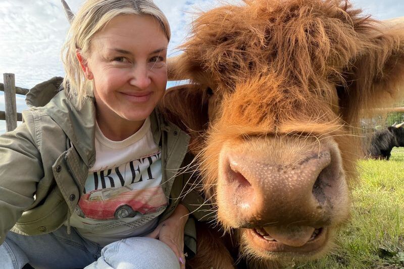 There’s An Oregon Farm Where You Can Meet And Brush Fluffy Highland Cows Up Close