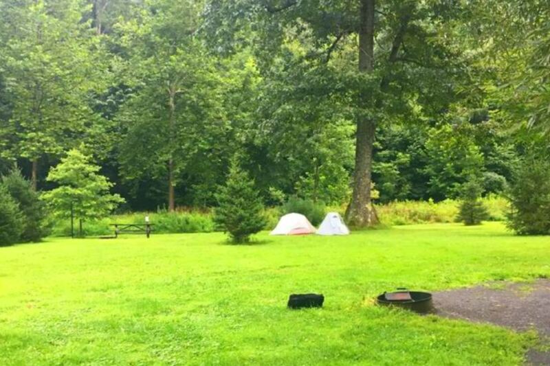 This Pennsylvania Forest Protects Pine Creek Gorge Scenery and Hundreds of Miles of Mountain Trails