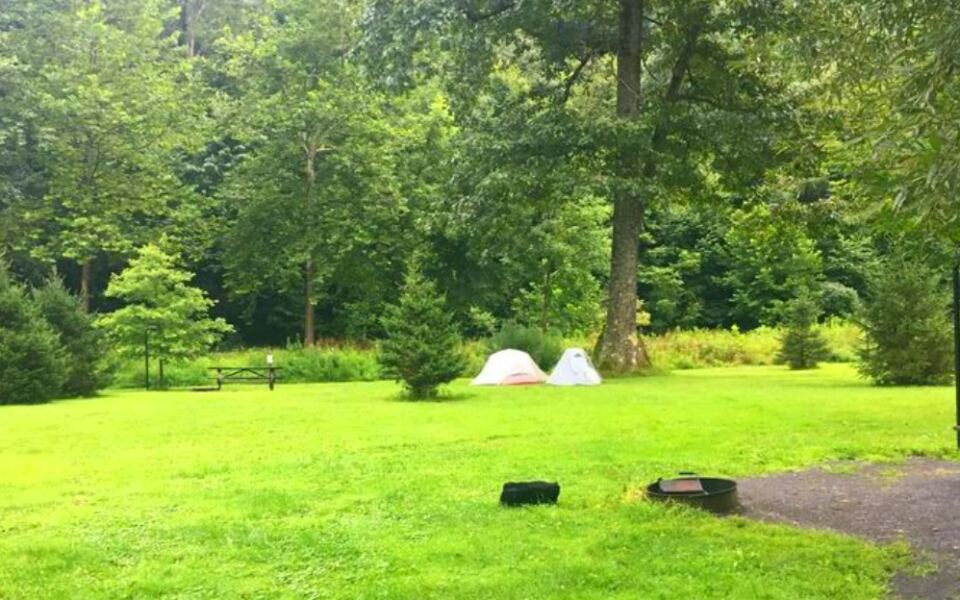 This Pennsylvania Forest Protects Pine Creek Gorge Scenery and Hundreds of Miles of Mountain Trails