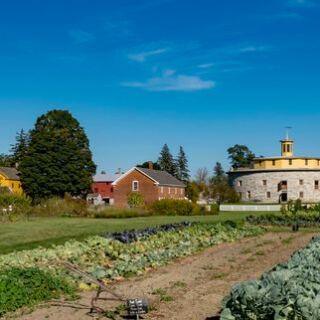 Deep in Western Massachusetts, a Family Farm Serves Breakfast in an 1800s Barn