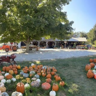 Food Lovers Return Every Fall To This Iowa Orchard Store For Fresh Apples, Mini Cider Donuts, And Local Apple Butter
