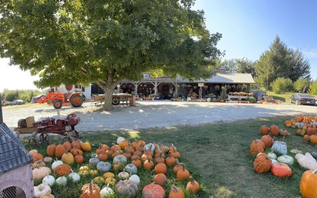 Food Lovers Return Every Fall To This Iowa Orchard Store For Fresh Apples, Mini Cider Donuts, And Local Apple Butter