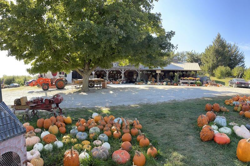 Food Lovers Return Every Fall To This Iowa Orchard Store For Fresh Apples, Mini Cider Donuts, And Local Apple Butter