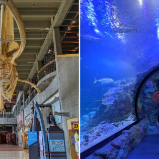 14 Michigan Attractions Perfect for a Rainy Day
