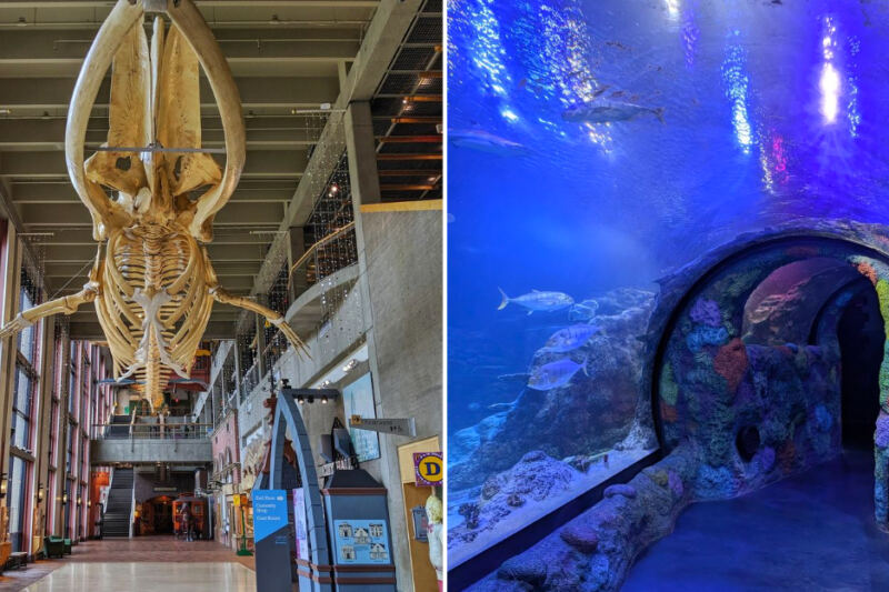 14 Michigan Attractions Perfect for a Rainy Day