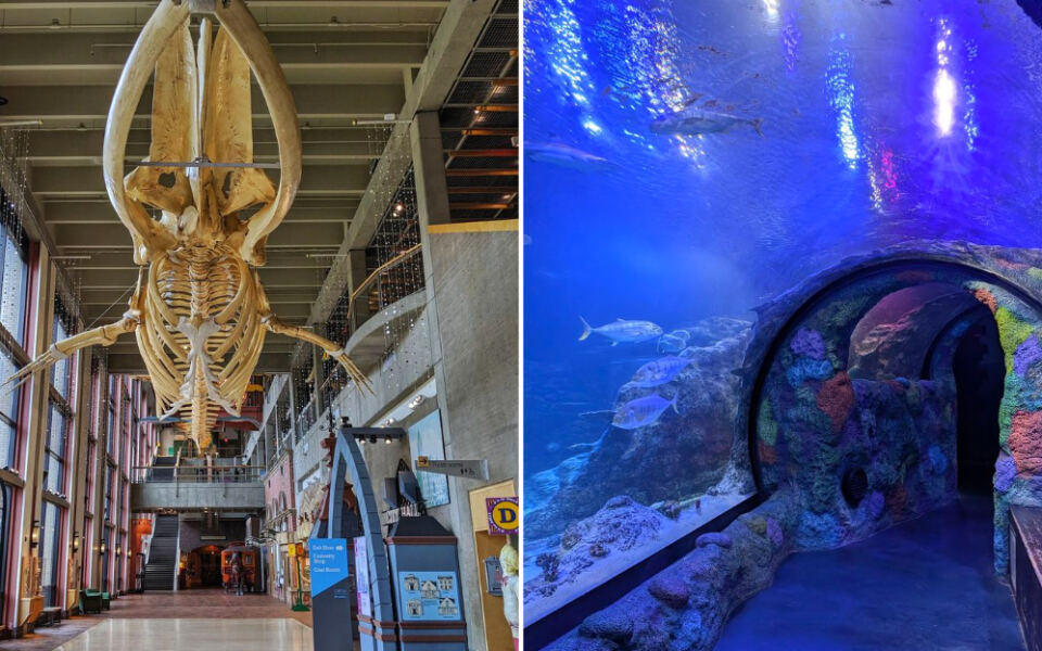 14 Michigan Attractions Perfect for a Rainy Day