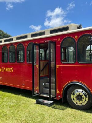 Charleston Tea Garden on Wadmalaw Island Lets You Sip Free Samples Right Beside the Tea Fields