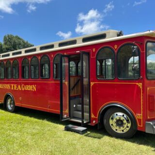 Charleston Tea Garden on Wadmalaw Island Lets You Sip Free Samples Right Beside the Tea Fields