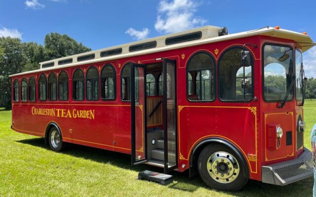 Charleston Tea Garden on Wadmalaw Island Lets You Sip Free Samples Right Beside the Tea Fields