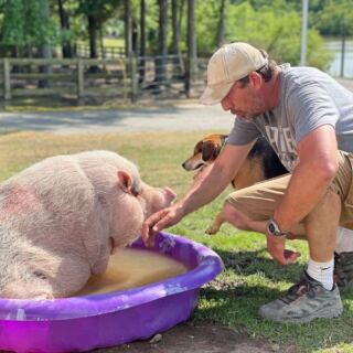 7 North Carolina Farms Where You Can Nuzzle the Rescue Animals