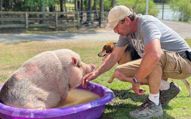 7 North Carolina Farms Where You Can Nuzzle the Rescue Animals