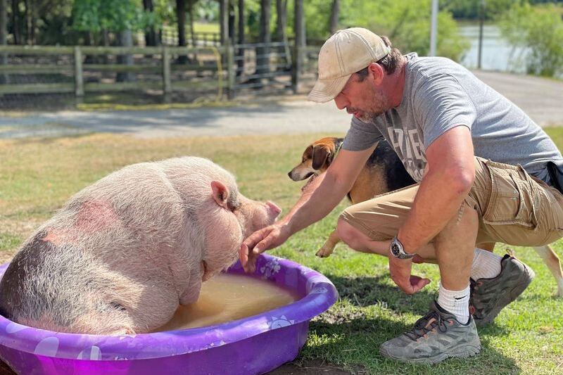 7 North Carolina Farms Where You Can Nuzzle the Rescue Animals