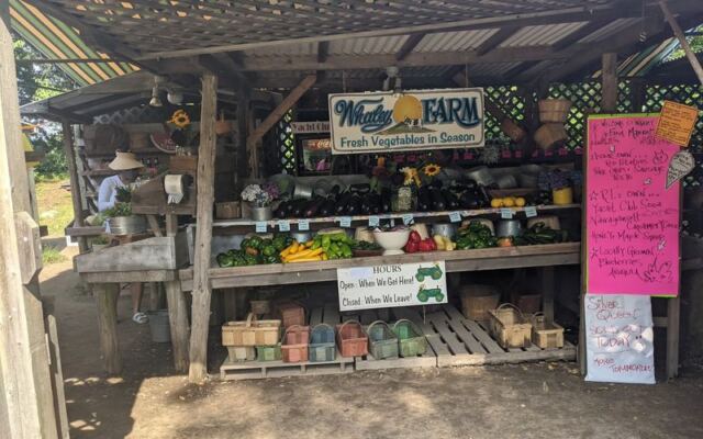 This Little Family-Run Rhode Island Farm Stand Is Worth The Drive For Sweet Corn, Local Honey, And Garlicky Pickles