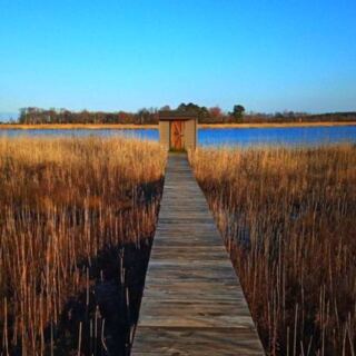 This Milton, Delaware, Wildlife Refuge Protects Marshes, Beaches, and One of the East Coast’s Best Birding Spots