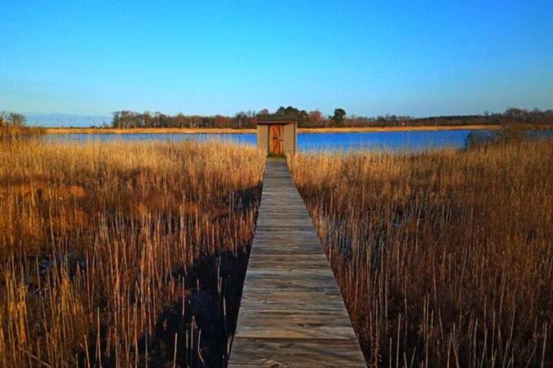 This Milton, Delaware, Wildlife Refuge Protects Marshes, Beaches, and One of the East Coast’s Best Birding Spots