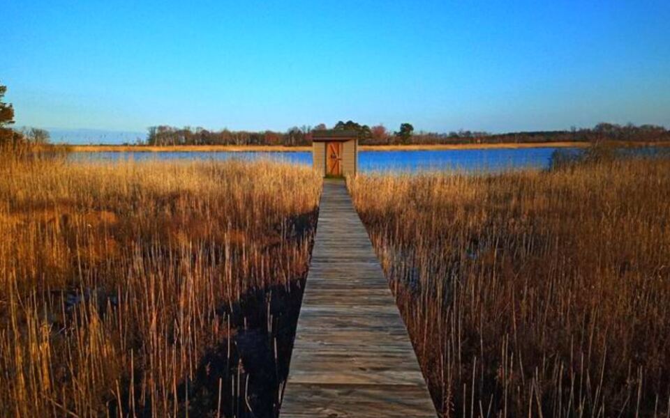 This Milton, Delaware, Wildlife Refuge Protects Marshes, Beaches, and One of the East Coast’s Best Birding Spots