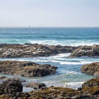 These 10 Hidden Oregon Beaches Feel Like Secret Getaways You Reach by a Short Forest Hike