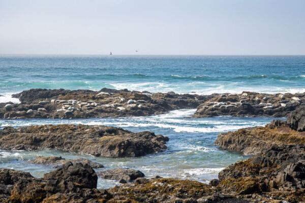 These 10 Hidden Oregon Beaches Feel Like Secret Getaways You Reach by a Short Forest Hike