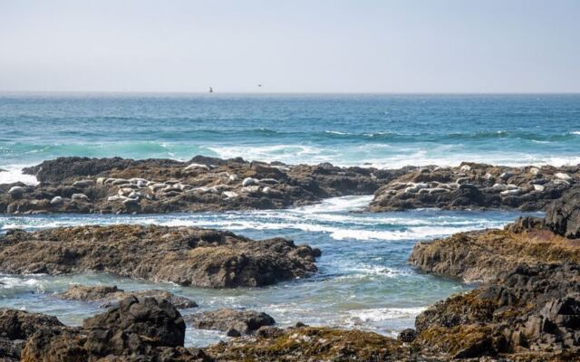 These 10 Hidden Oregon Beaches Feel Like Secret Getaways You Reach by a Short Forest Hike