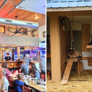 This Upper Peninsula Diner Has a Saloon and Goats Out Back