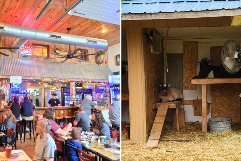 This Upper Peninsula Diner Has a Saloon and Goats Out Back