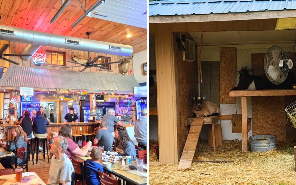 This Upper Peninsula Diner Has a Saloon and Goats Out Back