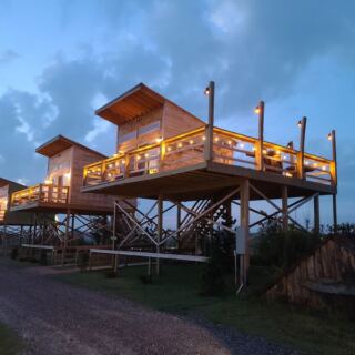 Sleep in This Oklahoma Treehouse Where Lions Roar at Sunrise and Tigers Pace Right Outside Your Window