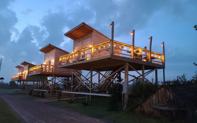 Sleep in This Oklahoma Treehouse Where Lions Roar at Sunrise and Tigers Pace Right Outside Your Window