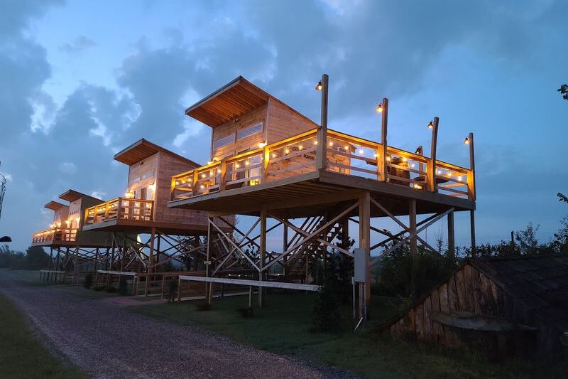 Sleep in This Oklahoma Treehouse Where Lions Roar at Sunrise and Tigers Pace Right Outside Your Window