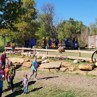Seven Oklahoma Corn Mazes Where Getting Lost Is the Whole Point This Fall