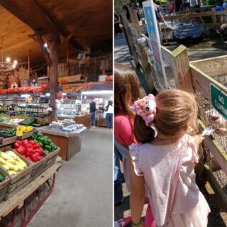This Wyckoff Farm Lets Kids Meet Animals While Parents Shop for Fresh Produce