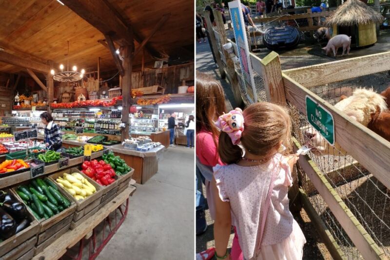 This Wyckoff Farm Lets Kids Meet Animals While Parents Shop for Fresh Produce
