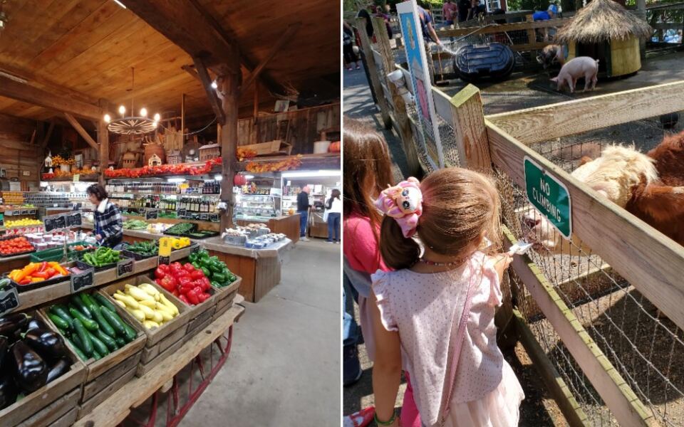 This Wyckoff Farm Lets Kids Meet Animals While Parents Shop for Fresh Produce