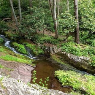 This New Jersey Forest Spring Sends Locals Home With Jugs Of Fresh Water