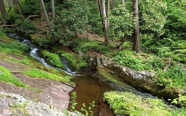 This New Jersey Forest Spring Sends Locals Home With Jugs Of Fresh Water