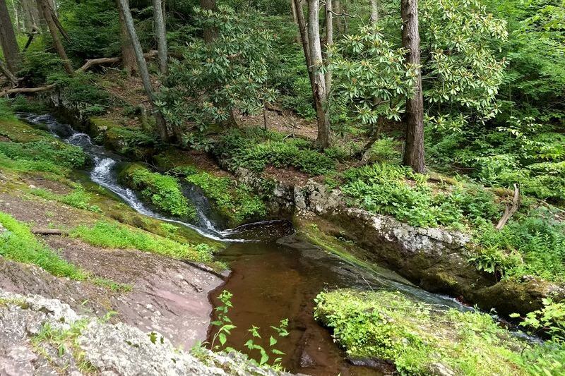This New Jersey Forest Spring Sends Locals Home With Jugs Of Fresh Water