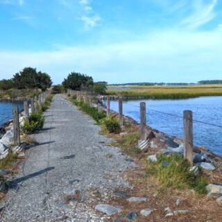 10 Delaware Places Where the Atlantic Coast Still Feels Wild