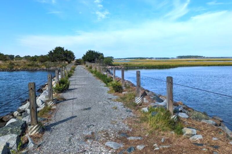 10 Delaware Places Where the Atlantic Coast Still Feels Wild