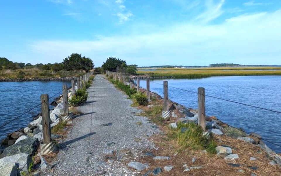 10 Delaware Places Where the Atlantic Coast Still Feels Wild