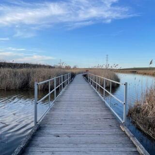 This Two-Mile New Jersey Walk Trades Traffic For A Bird-Filled Sanctuary