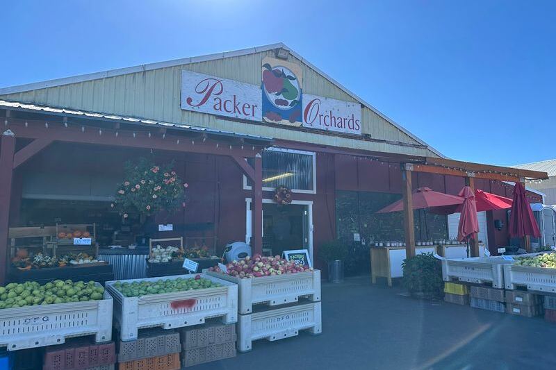 This Roadside Oregon Orchard Near Mount Hood Serves Warm Apple Cider Donuts Worth Pulling Over For