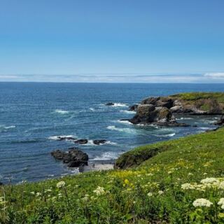 This Rugged Oregon Coastal Preserve Hides Tide Pools, Seal-Watching Trails, and an 1870s Lighthouse