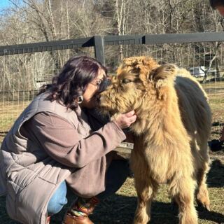 At This North Carolina Farm You Can Brush a Fluffy Highland Cow While Emus and Alpacas Crowd In